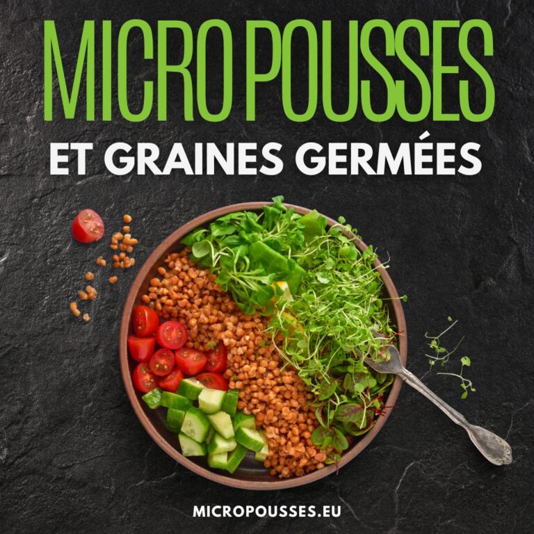 Lot De 12 Variétés De Micro-pousses – Graines à Germer Maison, Fraîches Et Nutritives