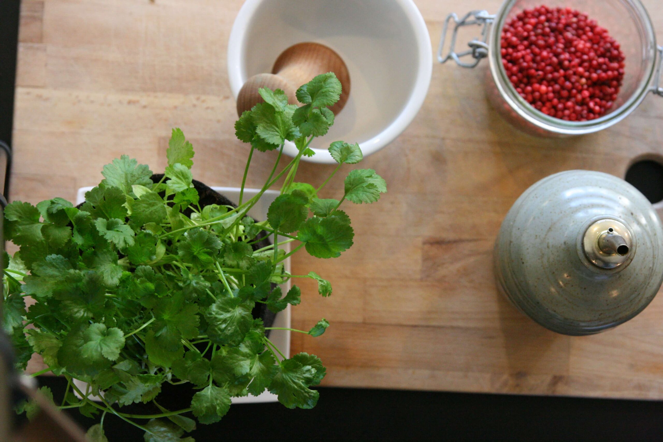 contenu du kit coriandre bio Easy Pot : pot géotextile, terreau lombricompost, graines bio