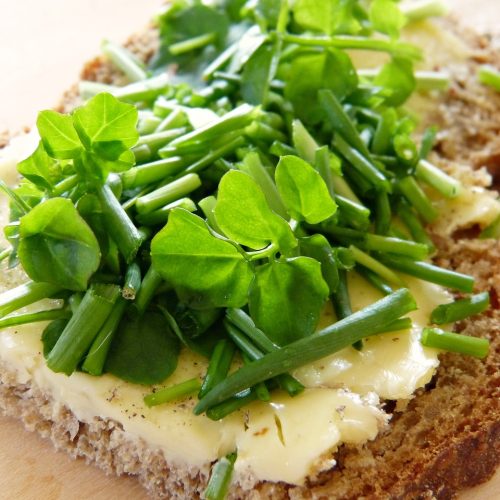 bowl healthy au quinoa garni de micropousses de pois bio – micropousses.eu