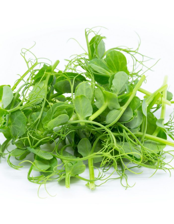 graines de pois pour micro pousses