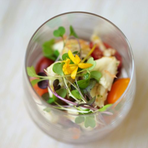 Micropousses de brocoli : sulforaphane, culture et bienfaits